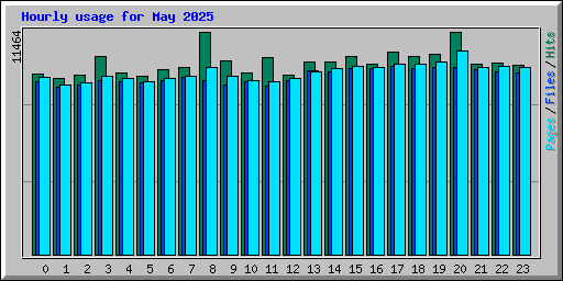 Hourly usage for May 2025