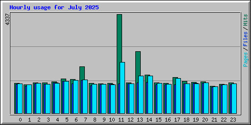 Hourly usage for July 2025